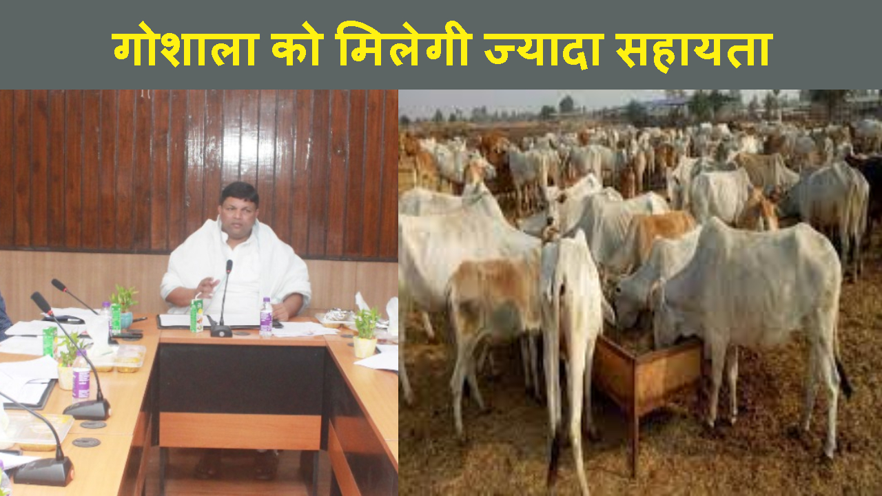 JHARKHAND SARKAR NE GOSHALA KO JAYADA SUVIDHA DENE KA LIYA DECISION .