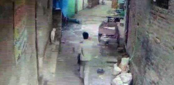 yuwak ne petrol chhidak ki aatmhatya ki koshish 