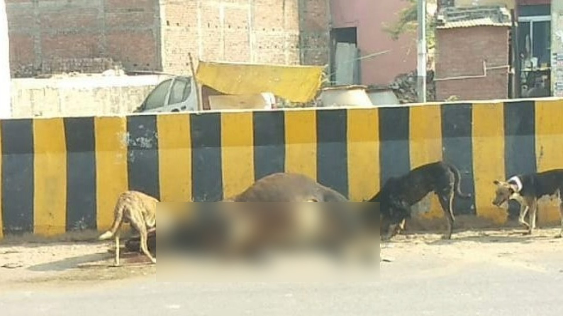 buxar me manavta hui sharmsar