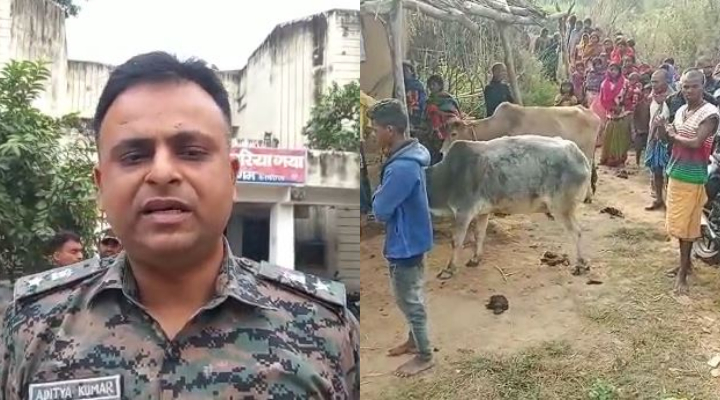 Search operation continues after 4 murders in Gaya SSP investigated the access to the crime scene, Naxalites had reached in the number of 20