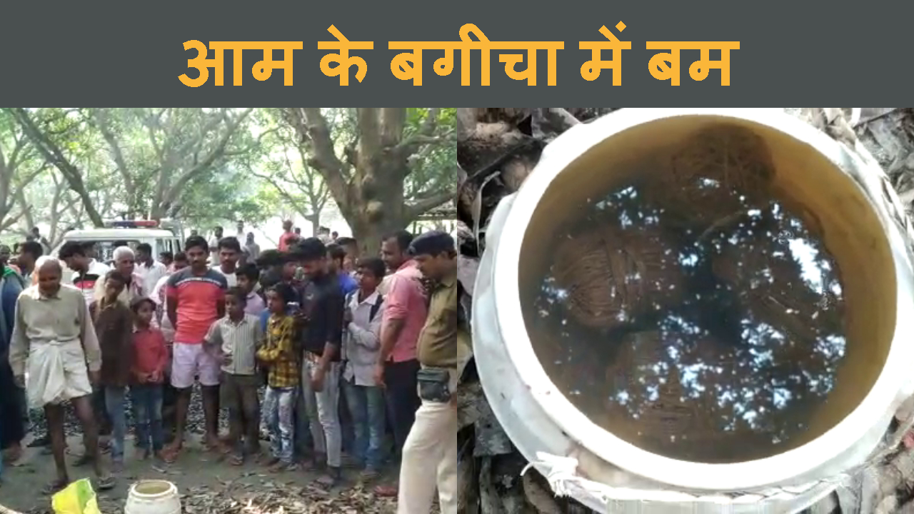 vaishali ke bagicha me 8 jinda bomb milne se sansani