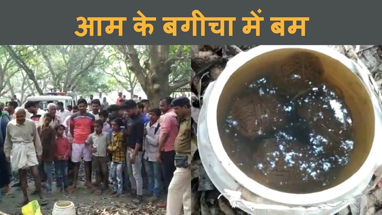 vaishali ke bagicha me 8 jinda bomb milne se sansani