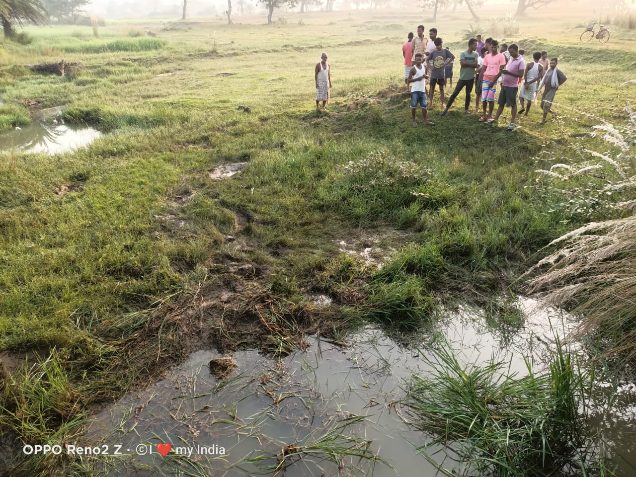 HATHI NE BIKESAVAR KO KUCHLA