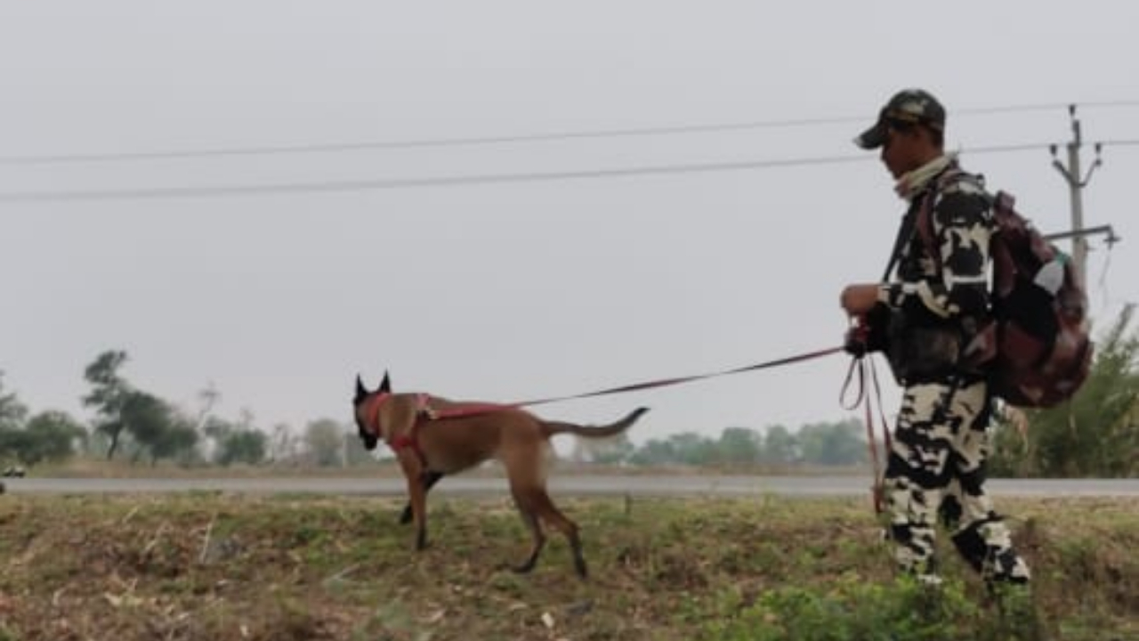 nakshali band ko lekar crpf alert