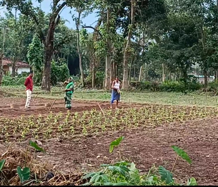 KHAD KI KALABAZRI SE PARESHAN HAI KRISHI MANTRI KE ELAKA KE KISHAN