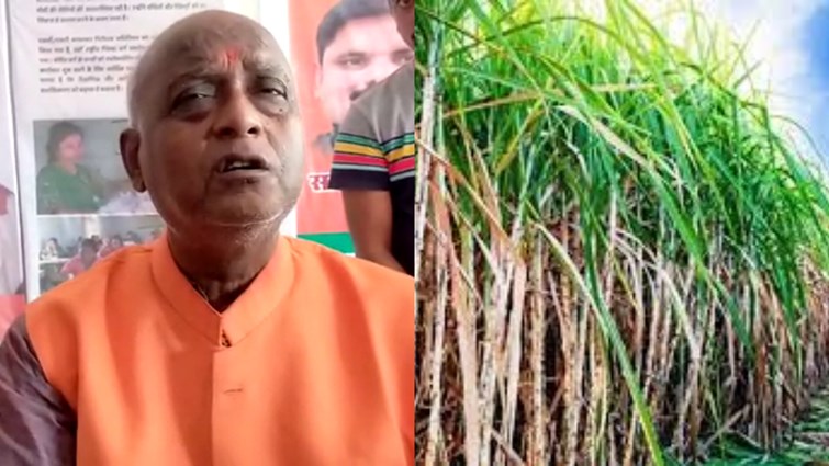 bihar me ganna ke kimat me hogi badhotri