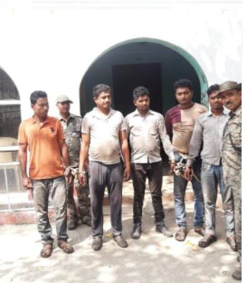 koyla mafiyaon mai harkamp 