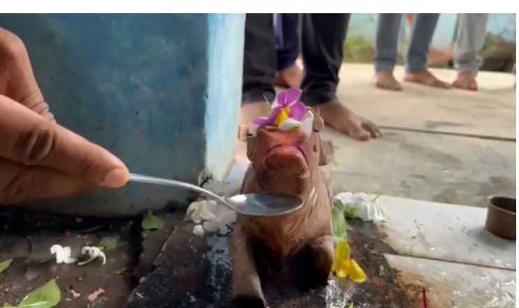 sawan mai chamatakaar 