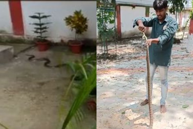 mantri ji ke ghar me saanp 