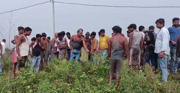 haiwan pati ki karstani 