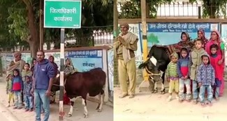 farmer tied his cow in front of begusarai dm office.
