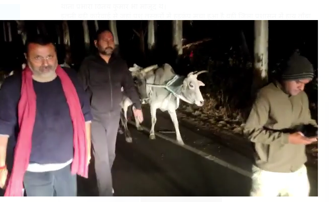 maweshi tashakaron mai macha harkampa 