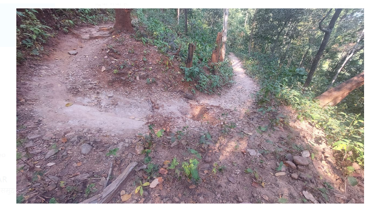 naxaliyo ke mansube vifal 