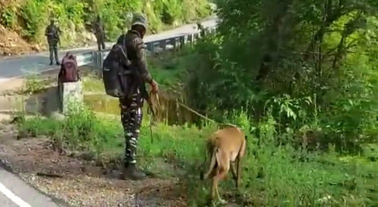 lohardaga me naksali sangthan se aar paar 