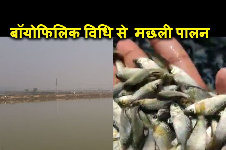 supaul me sakaar ho rha aatmnirbhar bharat ka swaroop