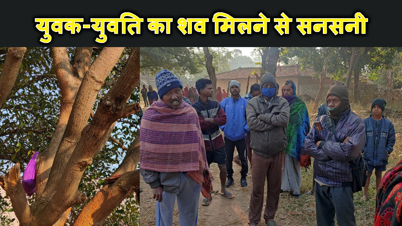 MANGO TREE SE YOVAK YUVTI KA SAV MILNE SE SIMDEGA ME SANSANI
