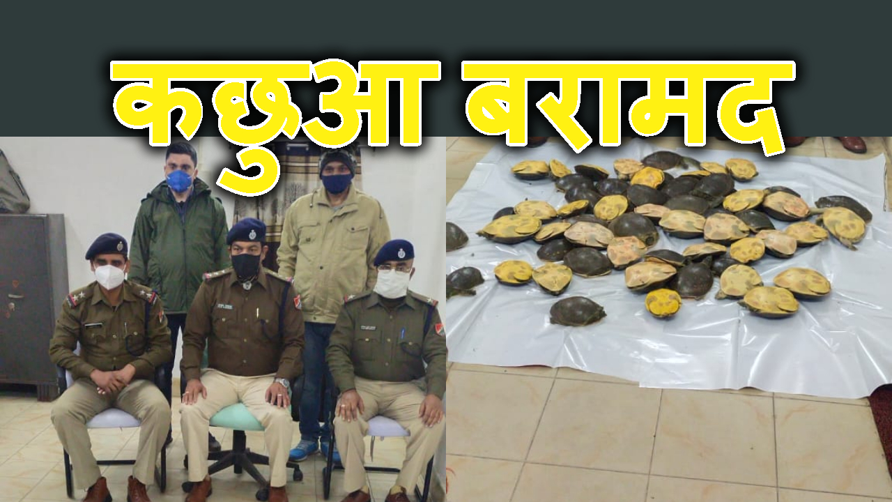 GAYA RPF NE TRAIN SE TORTOISE KIYA BARAMAD