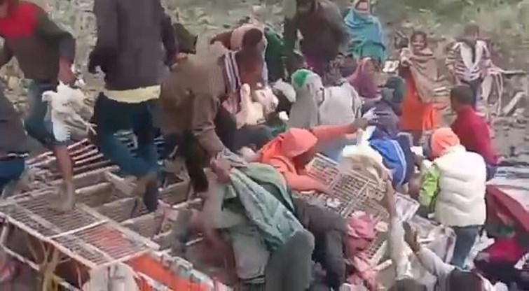 palti gaadi shurur hui murge par maramari 