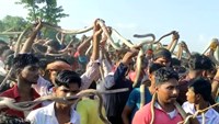 snakes mela in samastipur