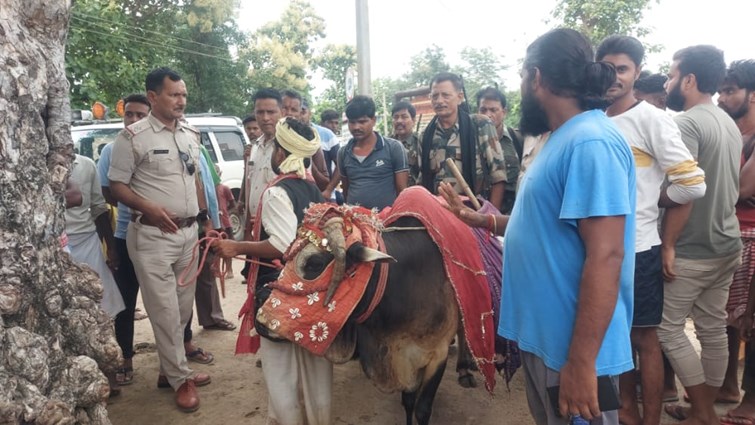 three suspected arrested with basha ox  in munger