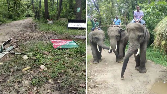 VTR me jungli hathiyon ka tandav 