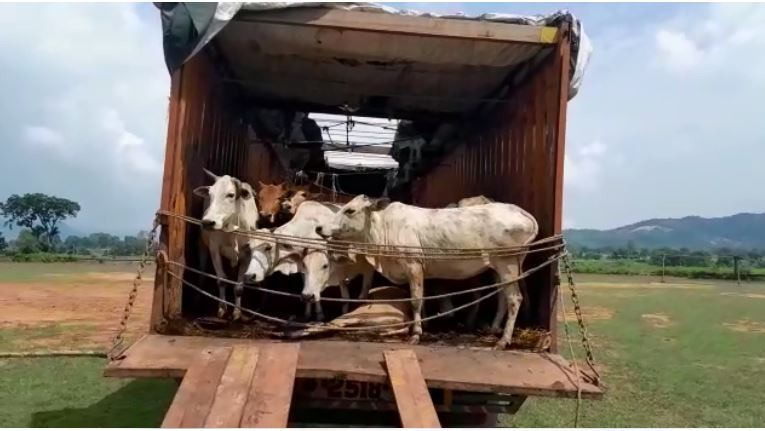 tasakaro ke khilaph badi kaarrawai 