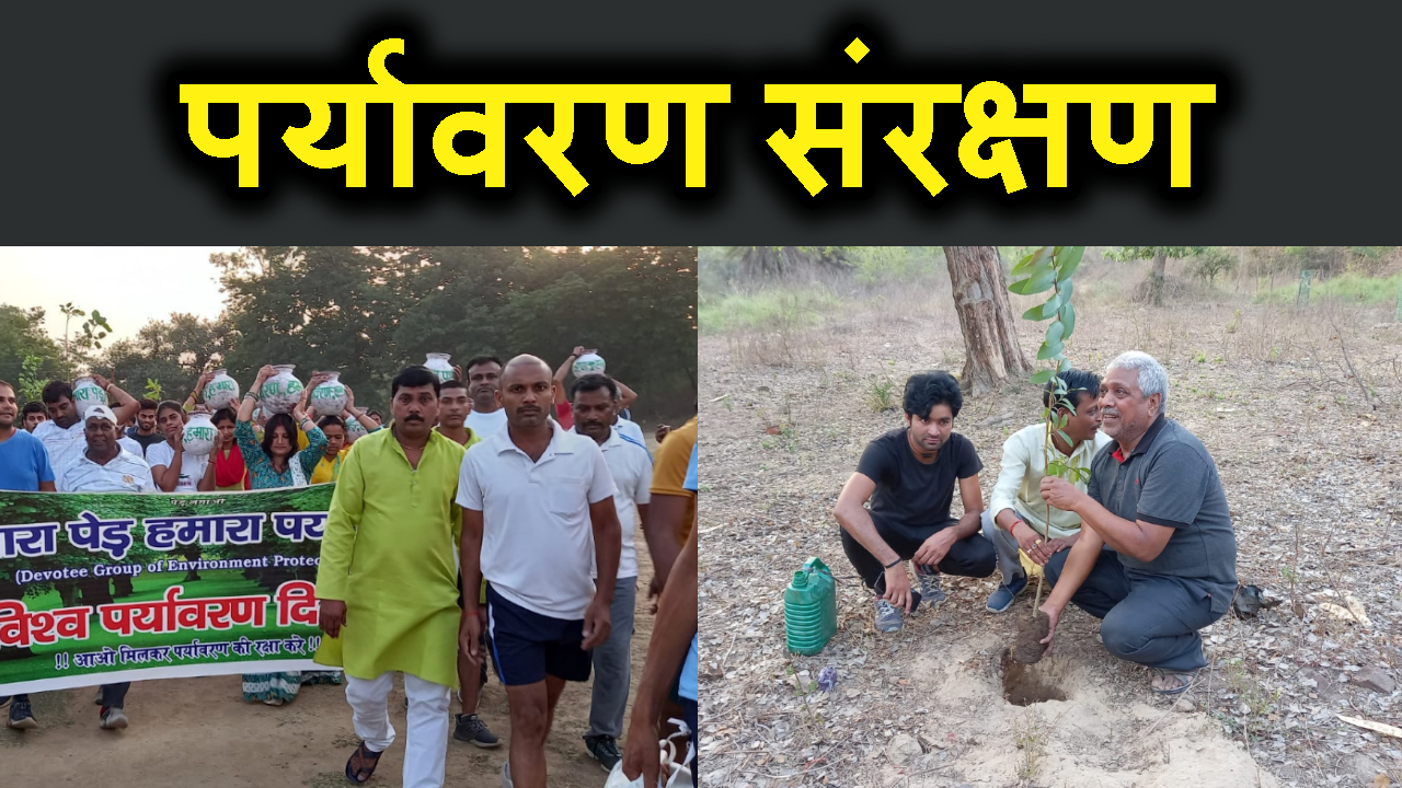 gaya wasio ne tree ko bacahane ke lie uthaya anokha kadam.