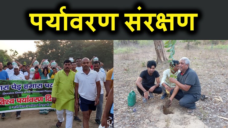 gaya wasio ne tree ko bacahane ke lie uthaya anokha kadam.