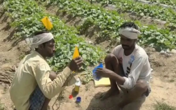 kisanon ko drip erigation system se mila labh 