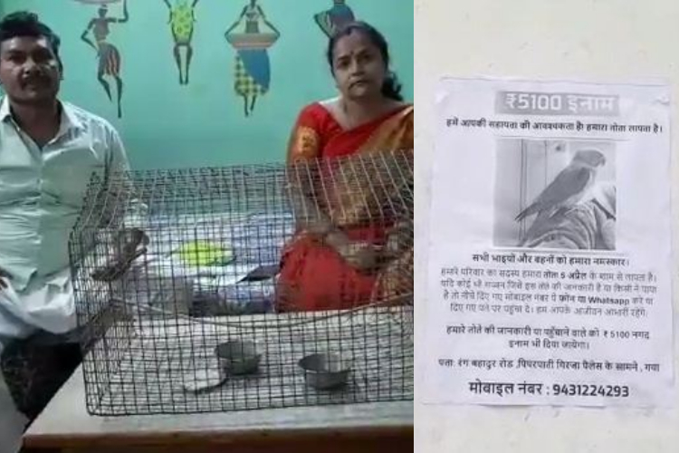 pinjra chod uda tota to malik hua pareshan