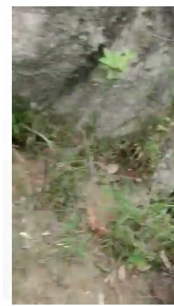 shav  milne se  sansani 