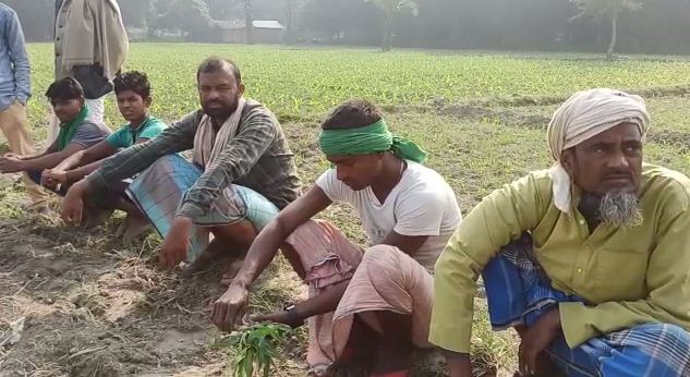 katihar me kisanon ke ude hosh 