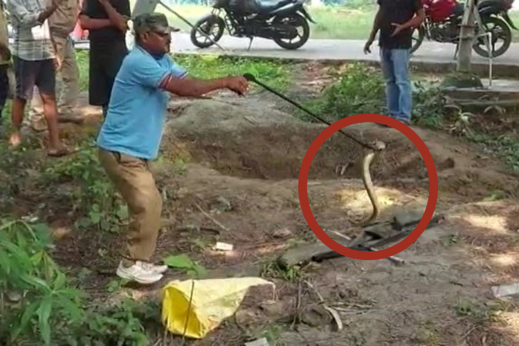 co sahaeb ki gari ke niche saap mokama prakhand karyalal me macha hadkamp