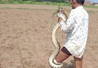 young man caught by python snake in jharkhand.