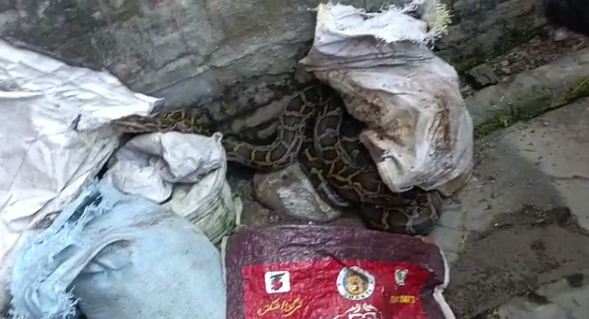 safai me nikla vishalkay ajgar 