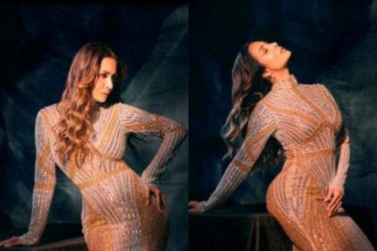 shimri gown me najar aayi malaika 