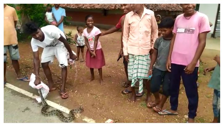 ajgar saanp ke aatank se log dahashat mai 