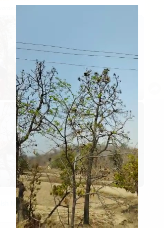 per per charhe shakhsa ki karant lagne se maut 