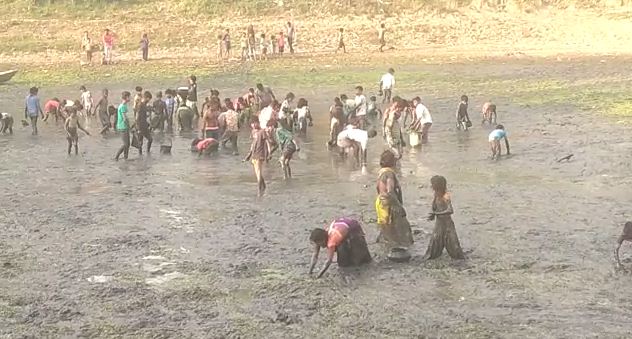 hajipur me machli pakdne ki loot 