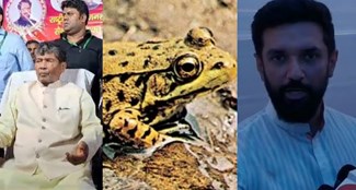 bihar politics Uncle Paras told nephew Chirag a rainy frog