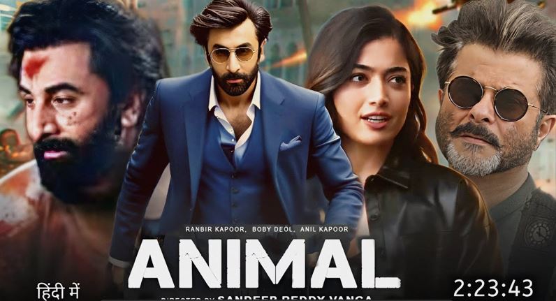 animal ne box office par machaya dhamal, film ne ki chapparfad kamai