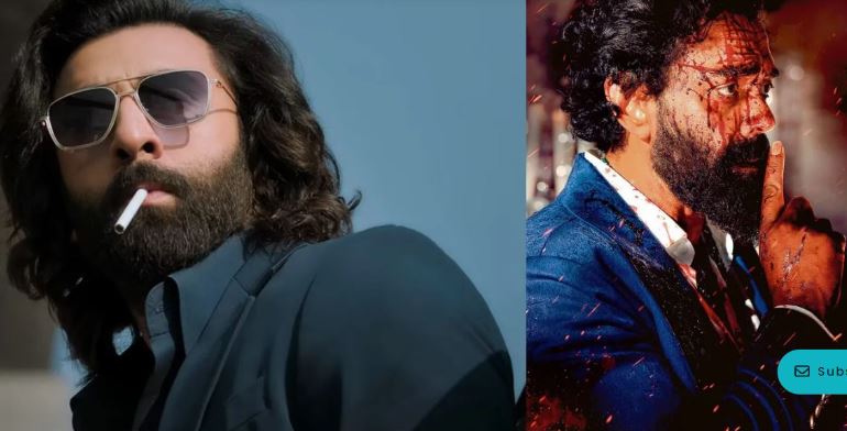 animal ki dahad se tharraya boxoffice, kamai 300 crore ke paar 