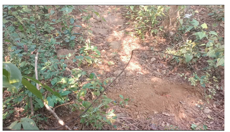 chaibasa mai fir mila 3 ied bum 