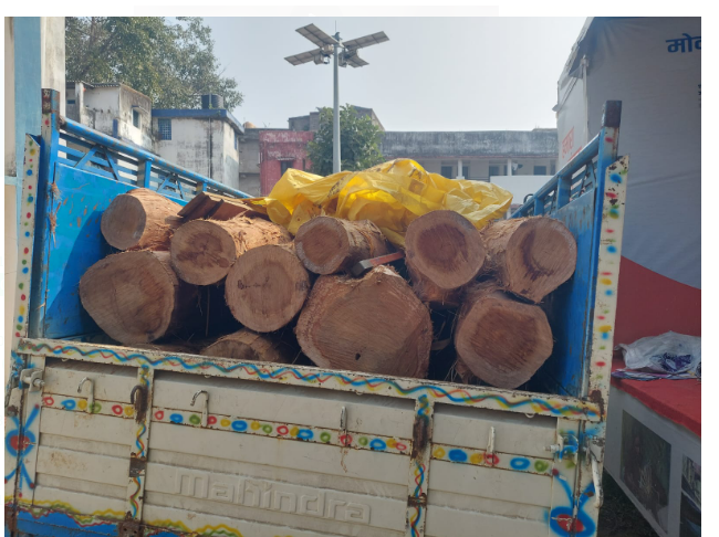 awaidh lakdi taskari ke khilaf karrawai 