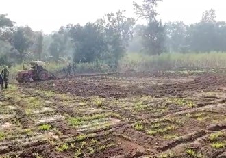 Illegal poppy cultivation on three acres of forest land destroyed