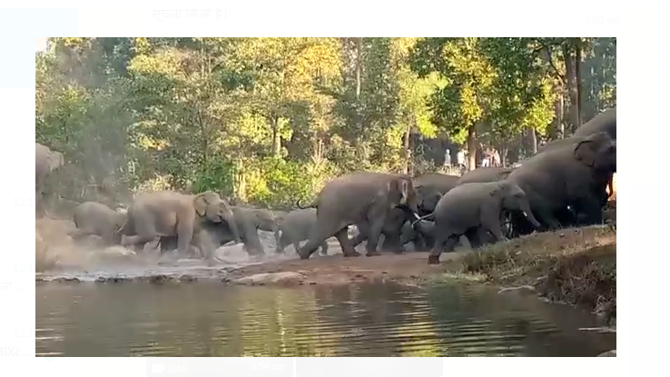 jangali hathiyon kaa taandav 