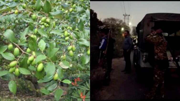 breaking four children who went to pick plums in dhanbad became victims of a bomb blast.