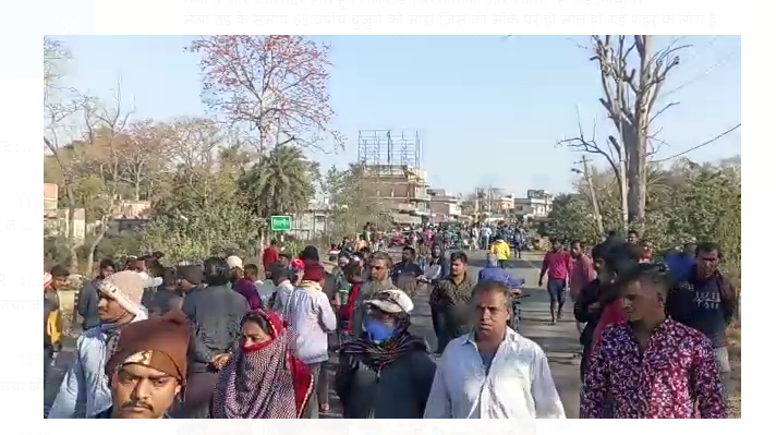 jangali hathi ka taandav 