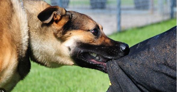 after three month of dog bite,the young man was affected.