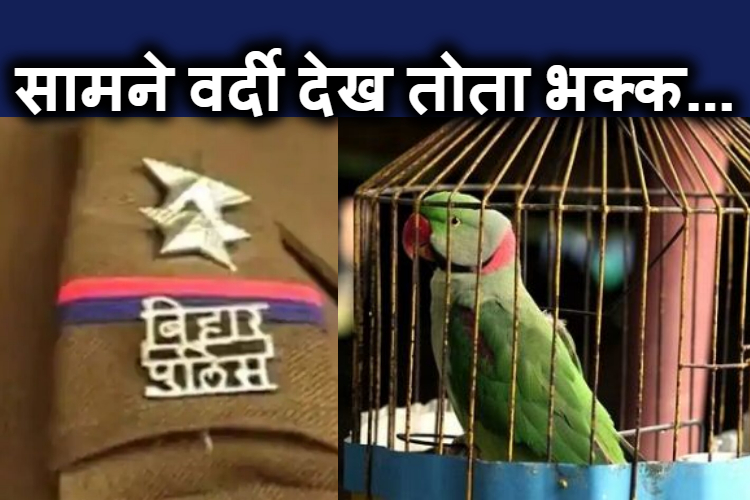 ae tota kidher hai tera malik